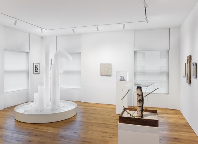 signals: if you like i shall grow (part ii), kurimanzutto, new york, 2018