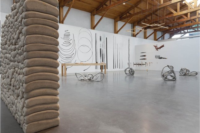 	dami&amp;aacute;n ortega, kurimanzutto, mexico city, 2011