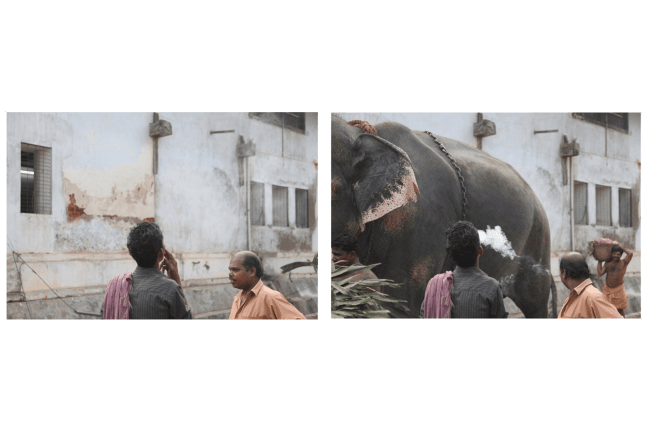 simultaneous translation, 2011

set of two digital prints

16.93 x 25.2 in.

&amp;nbsp;

&amp;nbsp;