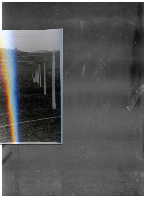 untitled, 2010

color print on fuji archive paper

16.73 x 12.8 in.

&amp;nbsp;

&amp;nbsp;