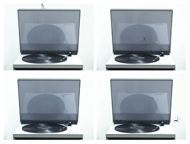 it&amp;#39;s no game, 2008

video

2:30 min

&amp;nbsp;

&amp;nbsp;