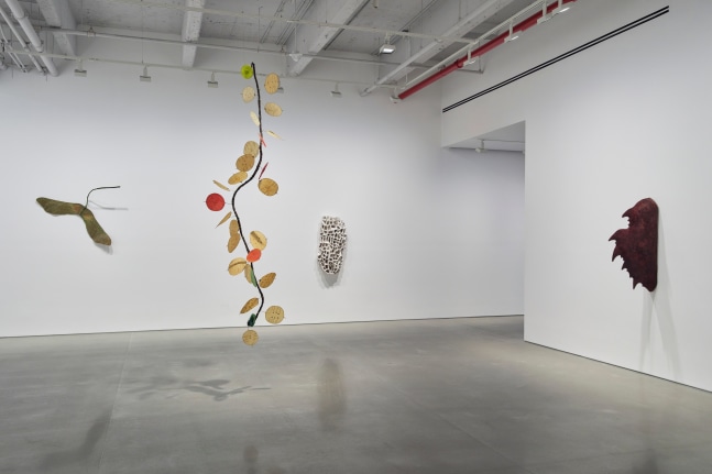 vista de instalaci&amp;oacute;n&amp;nbsp;ming fay: midnite porridge, kurimanzutto nueva york, 2025. foto: zach hyman