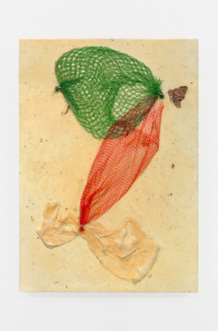 garnished parachuting &amp;ndash; garlic, 100 g; peaches, 1 kg; and organic zucchini, 500 g, 2018, chipboard, wood varnish, seeds, leaf particles, mesh produce bag, dust, hair

19.69 x 13.78 x 1.18 in