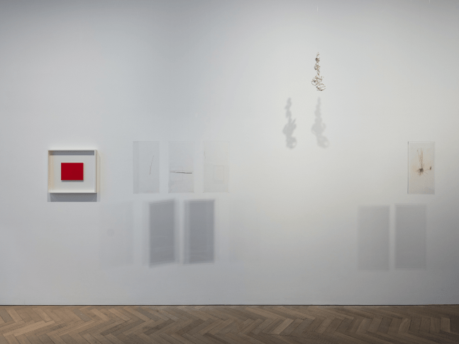 signals: if you like i shall grow, kurimanzutto presentada por thomas dane gallery, londres, 2018