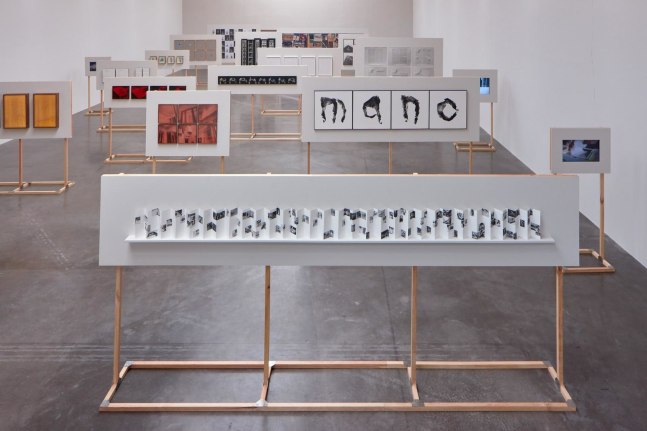 	i&amp;ntilde;aki bonillas,&amp;nbsp;no longer, not yet, 2018