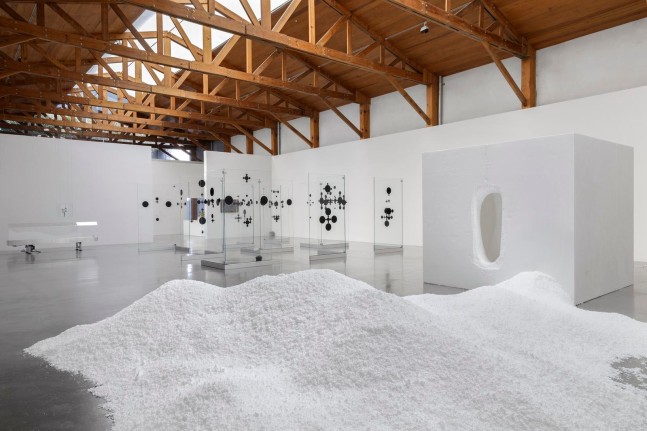 	installation view of&amp;nbsp;xyla&amp;ntilde;ynu. taller de los viernes, kurimanzutto, mexico city, 2016