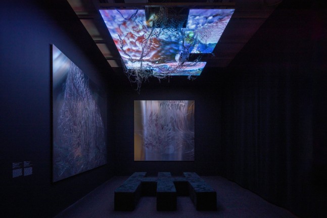 isle of vitr&amp;there4; ous, 2022. vista de instalaci&amp;oacute;n de whitney biennial, 2022