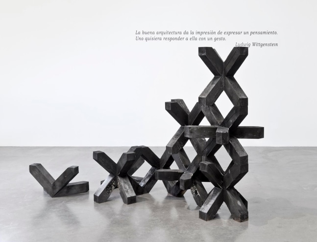 celos&amp;iacute;a (madera), 2012

9 m&amp;oacute;dulos de madera quemada

180 x 270 x 130 cm

&amp;nbsp;

&amp;nbsp;