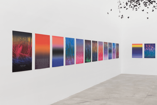 axioms for action, 1996-2018

set of 28. monotypes

39.76 x 27.95 in.&amp;nbsp;each
installation view of axiomas para la acci&amp;oacute;n,&amp;nbsp;muac museo universitario arte contempor&amp;aacute;neo, mexico city, 2018
