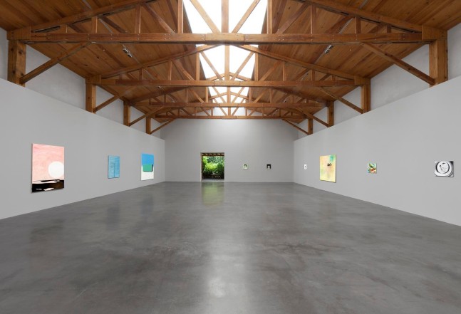 	wilhelm sasnal,&amp;nbsp;kurimanzutto, mexico city, mexico, 2011