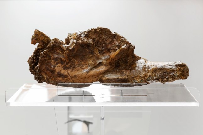 	performative ellipses, kurimanzutto, ciudad de m&amp;eacute;xico, 2016