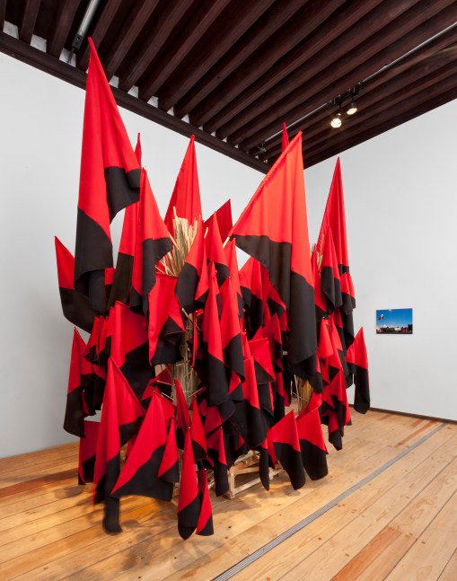 banderas, 2012

carro de ca&amp;ntilde;a&amp;nbsp;con 144 banderas negras y rojas

dimensiones variables