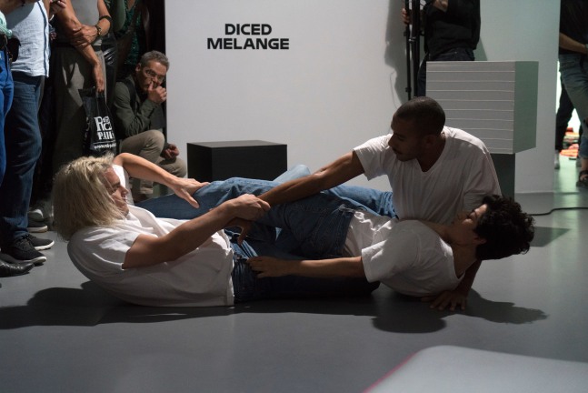 an ideal for a living

images of the performance at centre culturel suisse

paris, 2018