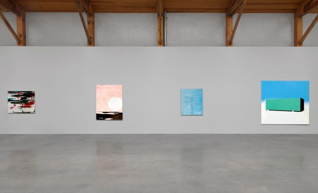 	wilhelm sasnal, installation view, 2011