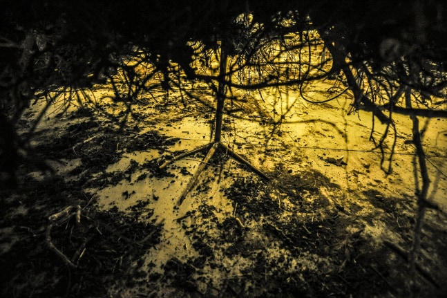 i&amp;#39;m hungry to keep you close. i want to find the words to resist but in the end there is a locked sphere. the funny thing is that you&amp;#39;re not here, nothing is., 2013

varios materiales, aves, ramas, tierra, metal, ropa

dimensiones variables