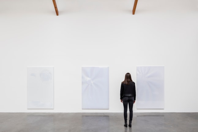 pale fire, kurimanzutto, mexico city, 2016