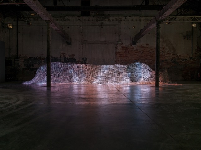 vista de instalaci&amp;oacute;n de&amp;nbsp;lipid muse&amp;nbsp;(2024) en&amp;nbsp;stranieri ovunque &amp;ndash; foreigners everywhere, 60va exposici&amp;oacute;n internacional de arte de la biennale di venezia, giardini and arsenale 2024. foto: nick ash