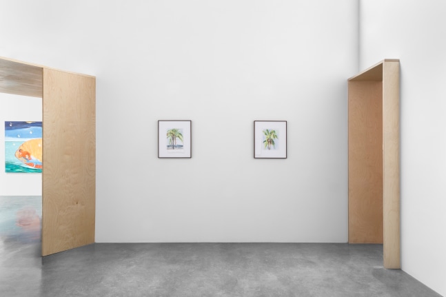 miguel calder&amp;oacute;n, amenaza cocotera (coconut threat) in siembra (sowing), kurimanzutto, mexico city, 2020-21