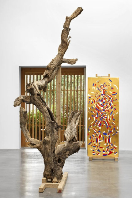 	gabriel orozco, kurimanzutto, mexico city, 2009