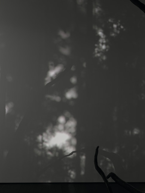 penumbra&amp;rdquo;,&amp;nbsp;2020; computer generated shadow animation, synch with sun-path in real time, sound
installation view of allora &amp;amp; calzadilla: specters of noon, menil collection, houston&amp;nbsp;