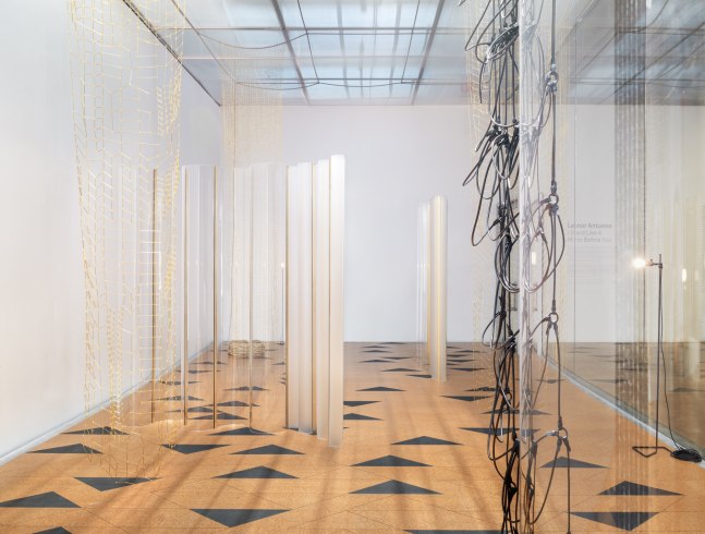 leonor antunes: i stand like a mirror before you, 2015

variable dimensions

installation view, new museum, new york, 2015

&amp;nbsp;