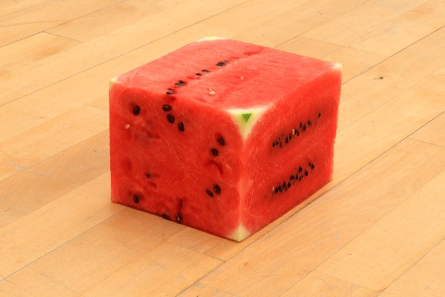 politically correct, 2009

watermelon

variable&amp;nbsp;dimensions

&amp;nbsp;