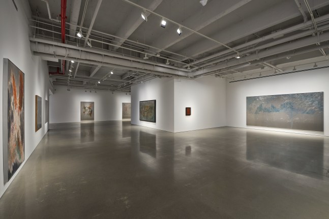wangshui, installation view at kurimanzutto new york, 2024