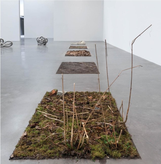 	dami&amp;aacute;n ortega, kurimanzutto, mexico city, 2011