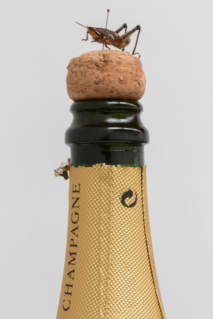 	fernando ortega, kurimanzutto, ciudad de m&amp;eacute;xico, 2013