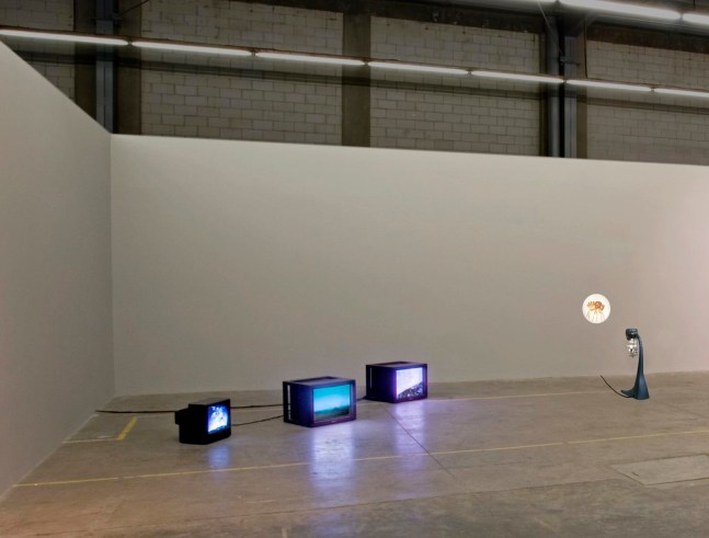 	la venganza del elefante, kurimanzutto, mexico city, 2007