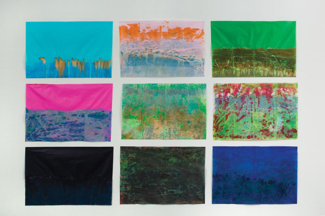 permeabilidad transl&amp;uacute;cida (horizontes IV), 2010-2011

india paper and water

19.29 x 28.74 in.&amp;nbsp;each

&amp;nbsp;