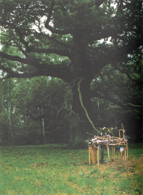 a project for the tree at potolice, 2000

vista del proceso de construcci&amp;oacute;n de&amp;nbsp;instalaci&amp;oacute;n de a project for the tree at potolice,&amp;nbsp;polonia, 2000

&amp;nbsp;
