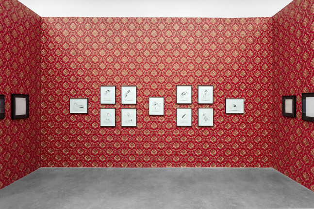 pablo soler frost, drawing room&amp;nbsp;(siembra 8), kurimanzutto, mexico city, 2020