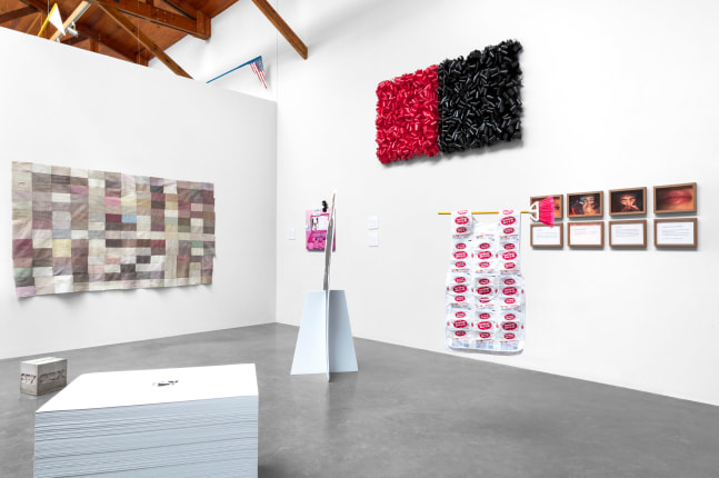 salon silic&amp;oacute;n, sexwork (siembra 13b), kurimanzutto, mexico city, 2020