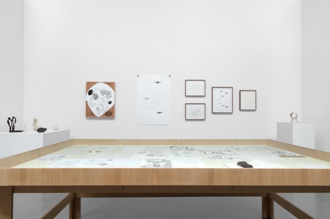 eduardo abaroa, otros espec&amp;iacute;menes, kurimanzutto, 2021