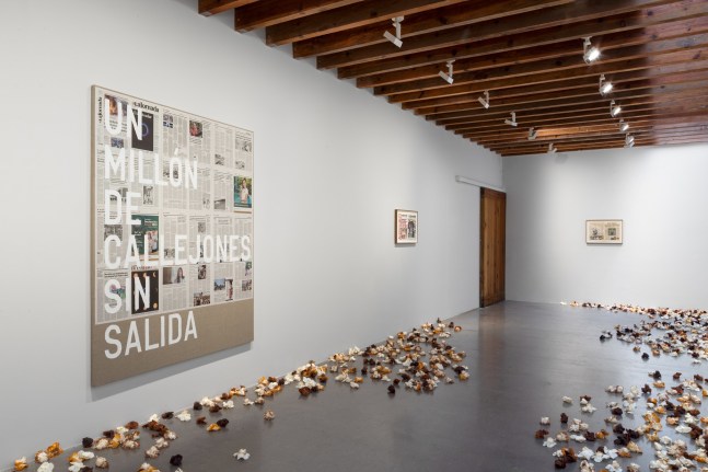 installation view&amp;nbsp;remains of the day: allora &amp;amp; calzadilla and rirkrit tiravanija, project room kurimanzutto mexico city, 2025. photo gerardo landa


&amp;nbsp;
