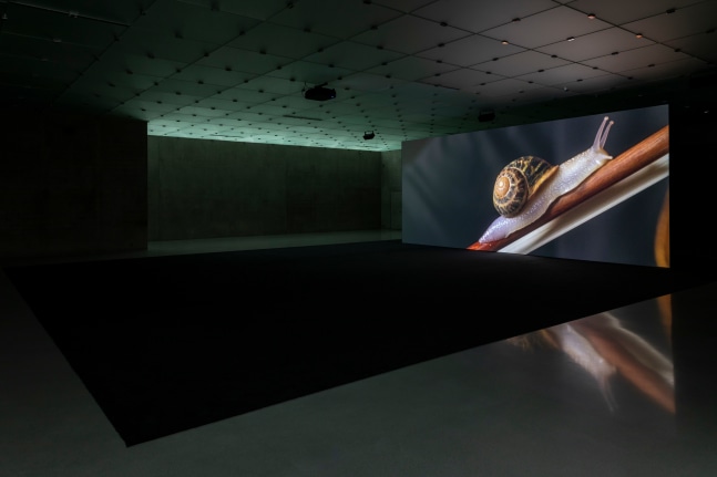 if and only if, 2018
single-channel uhd video, three-channel sound, color
9:47 min
installation view at kunsthaus bregenz, 2021