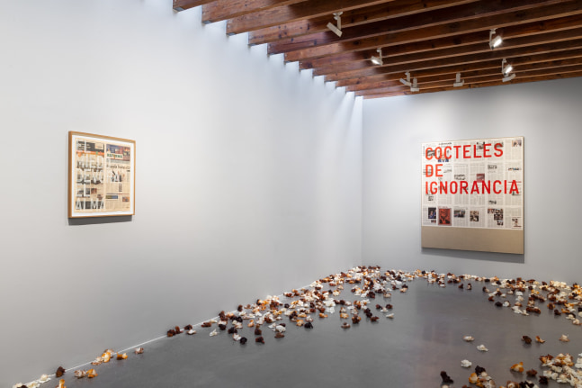 installation view&amp;nbsp;remains of the day: allora &amp;amp; calzadilla and rirkrit tiravanija, project room kurimanzutto mexico city, 2025. photo gerardo landa


&amp;nbsp;
