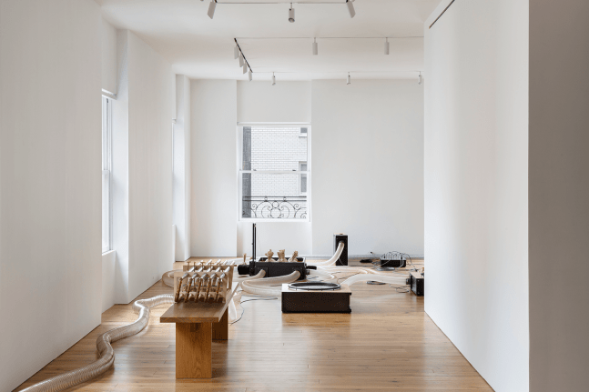 organ within, kurimanzutto, nueva&amp;nbsp;york, 2019