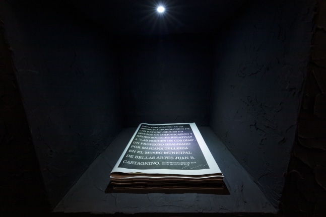 mariana teller&amp;iacute;a, the nights of the days&amp;nbsp;(siembra 34), kurimanzutto, mexico city, 2021