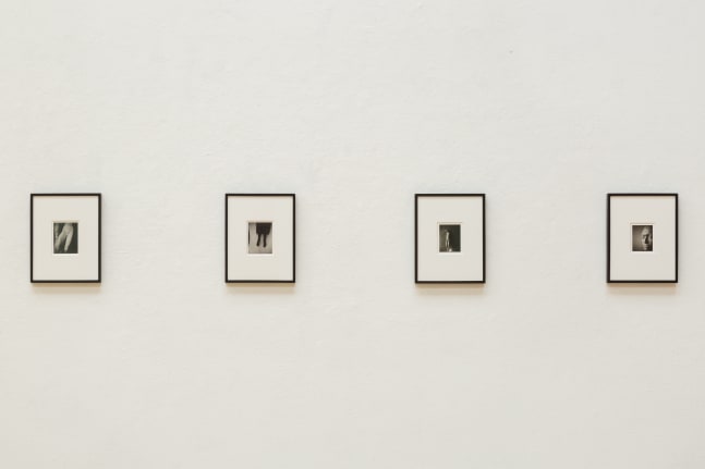 patti smith, wing, san francisco art institute, san francisco, 2019