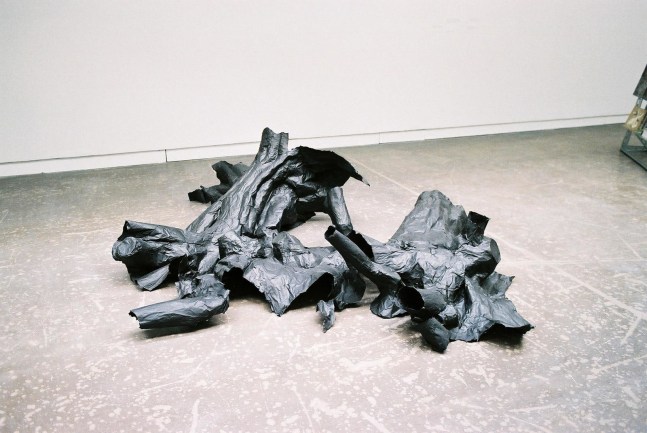 what we caught we threw away, what we didn&amp;rsquo;t catch we kept,&amp;nbsp;2013
mixed media
variable dimensions

&amp;nbsp;

&amp;nbsp;