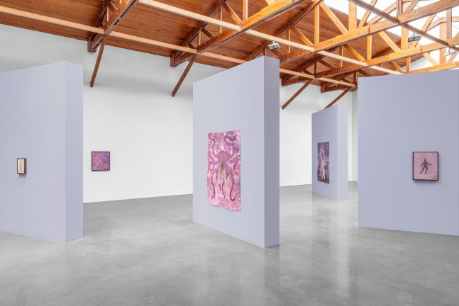 vista de instalaci&amp;oacute;n&amp;nbsp;felipe baeza: sentir un entonces y un all&amp;iacute;, kurimanzutto ciudad de m&amp;eacute;xico, 2025. foto: gerardo landa