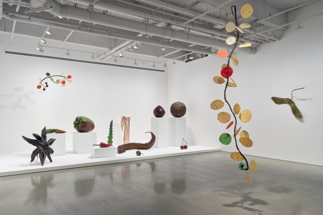 vista de instalaci&amp;oacute;n&amp;nbsp;ming fay: midnite porridge, kurimanzutto nueva york, 2025. foto: zach hyman