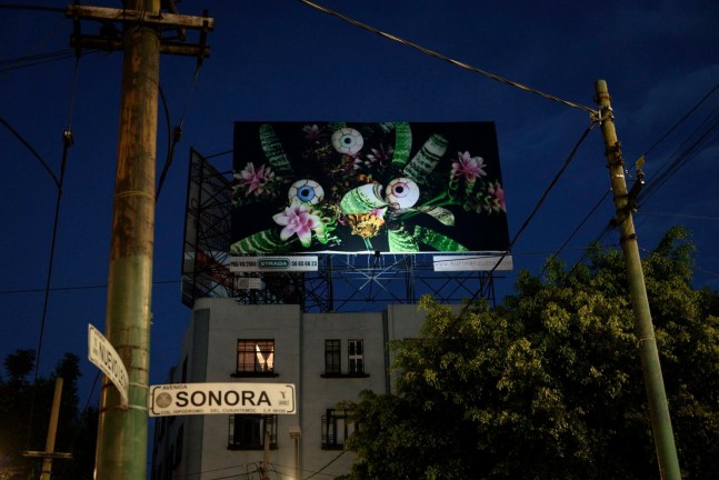 	nobuyoshi araki, qARADISE, sonora 128, 2016