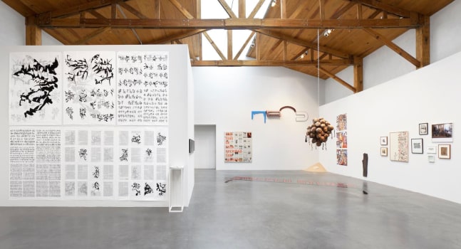 	estrella distante, kurimanzutto, mexico city, 2011