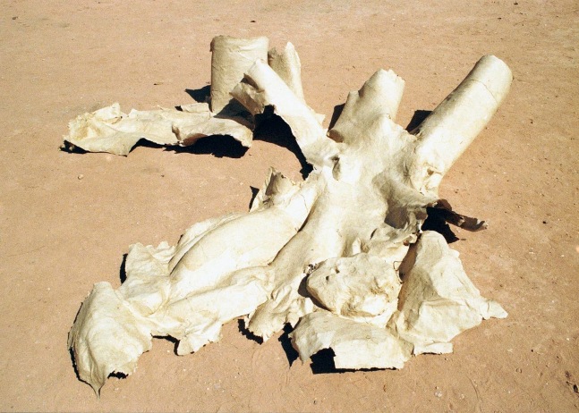 tree trap oaxaca, 2013
paper squeeze, wool, cotton paper
variable dimensions

&amp;nbsp;