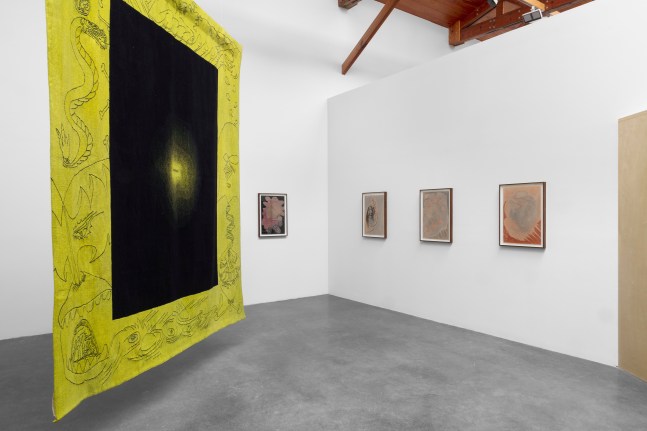 daniel guzm&amp;aacute;n, the man who should be dead but rose to another life (siembra 16), kurimanzutto, mexico city, 2020