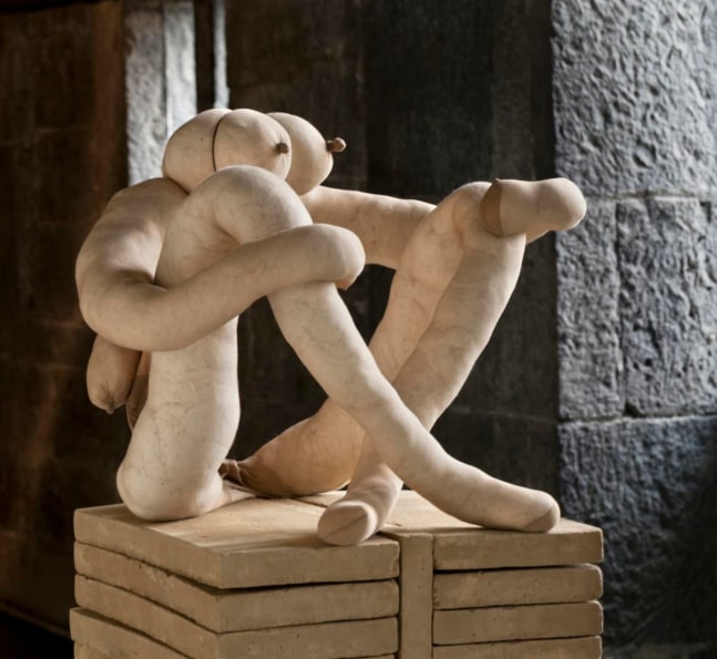 hoolian, 2012
alambre de aluminio cubierto con cinta adhesiva, algod&amp;oacute;n natural, medias de lycra, ladrillos de adobe
47 x 62 x 58 cm

&amp;nbsp;

&amp;nbsp;