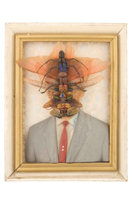 untitled (fondo flores plateadas), 2007

dried insects on photo-relief portrait on wood

10.63&amp;nbsp; x 8.27 x 1.77 in.

&amp;nbsp;